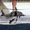 Show Animal Funny pictures